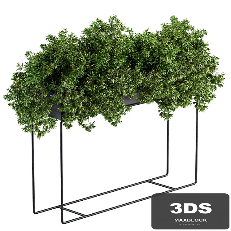 Black Box Plants on stand - Set 80