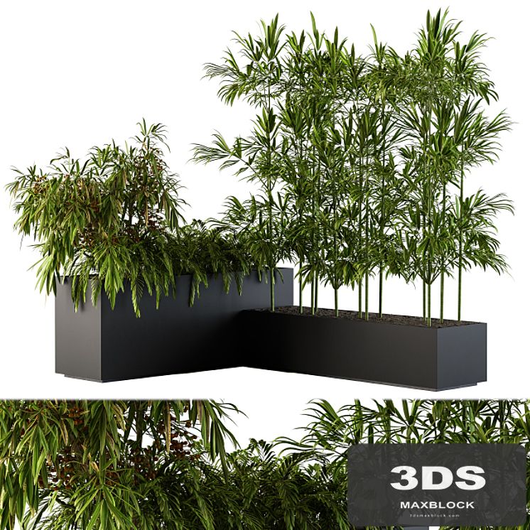 Outdoor Plants Black Plastic Box - Set 73