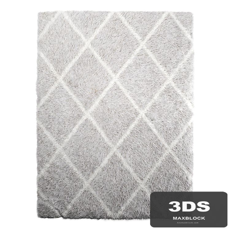 Rug Shaggy 200-150