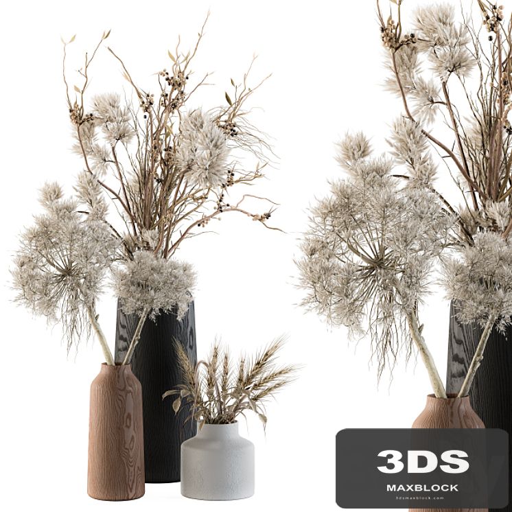 Dry plants 33 - Pampas and Dried Branch