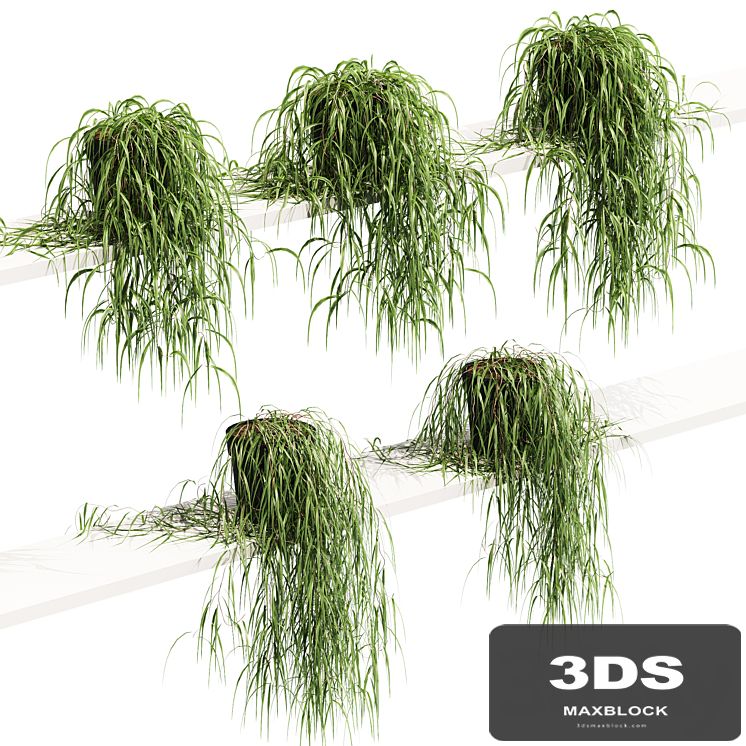 Hanging potted plant on the shelf. 5 models
