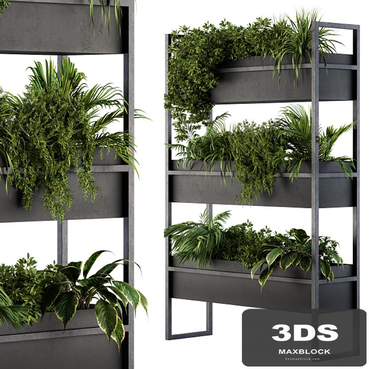 Black Box Plants on stand 05