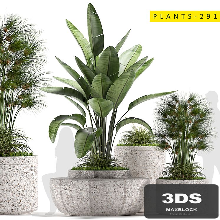 plants 291