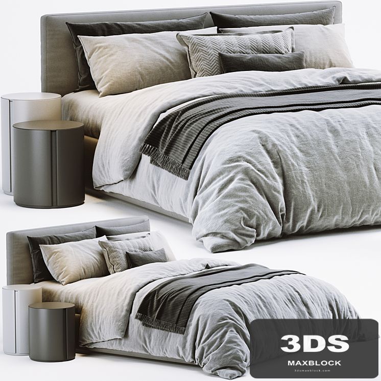 Meridiani Stone Bed