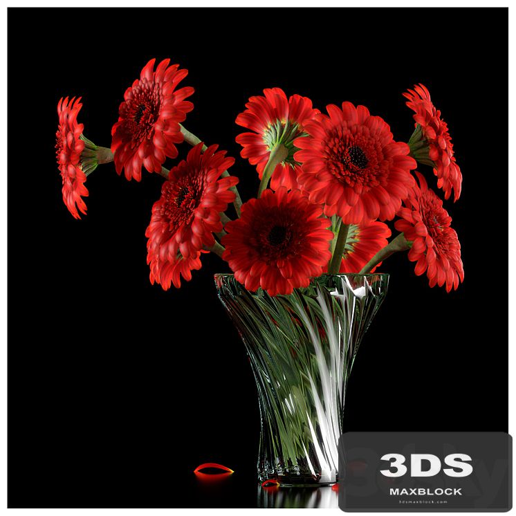 RED GERBERA