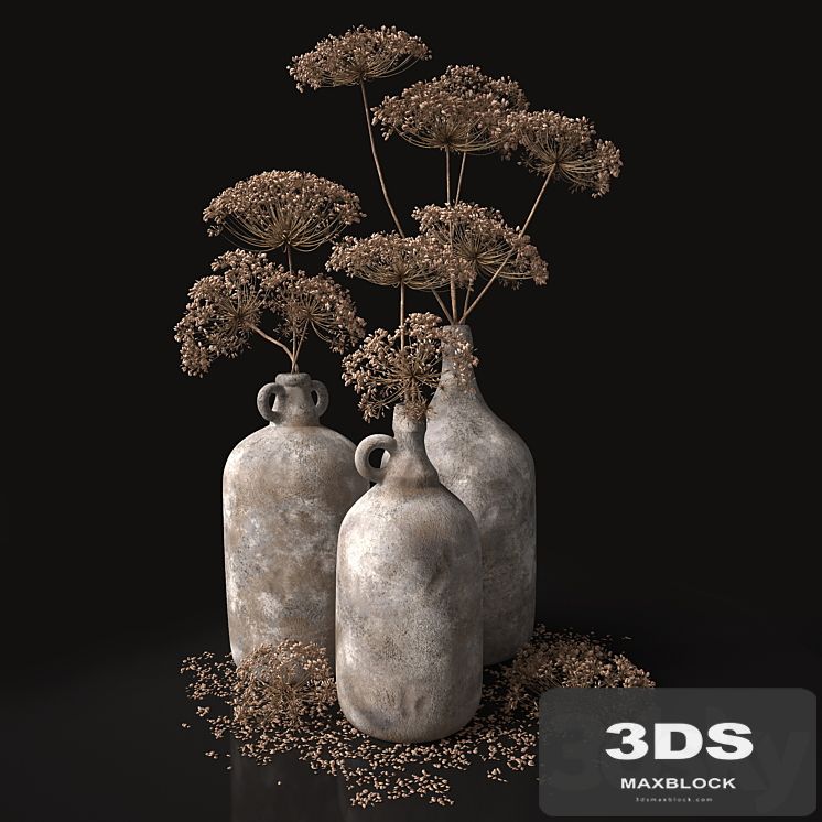 Jugs with dry dill stalks