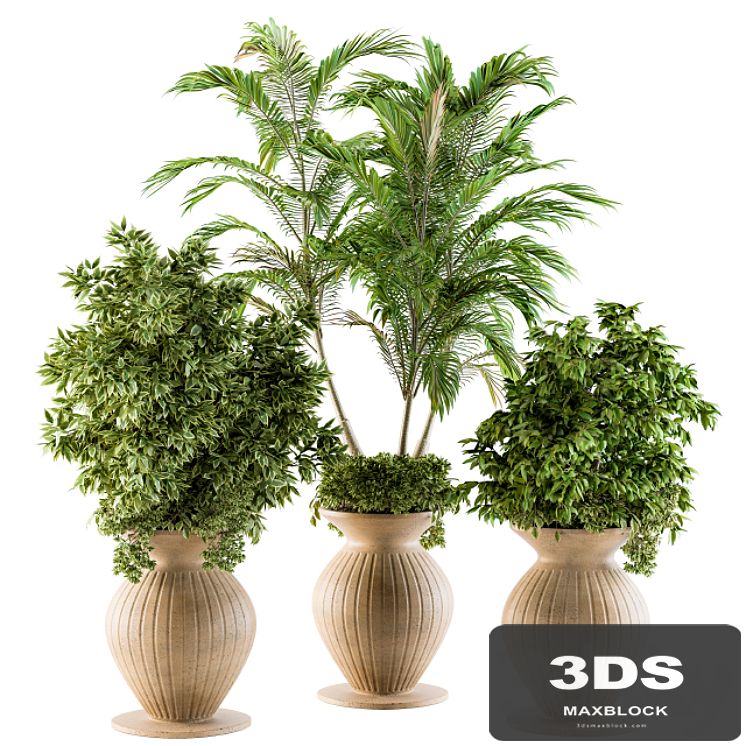Outdoor Plants - Set 88