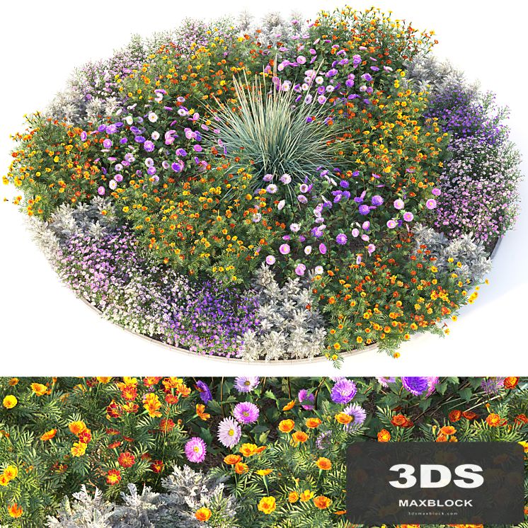 Flower garden 4
