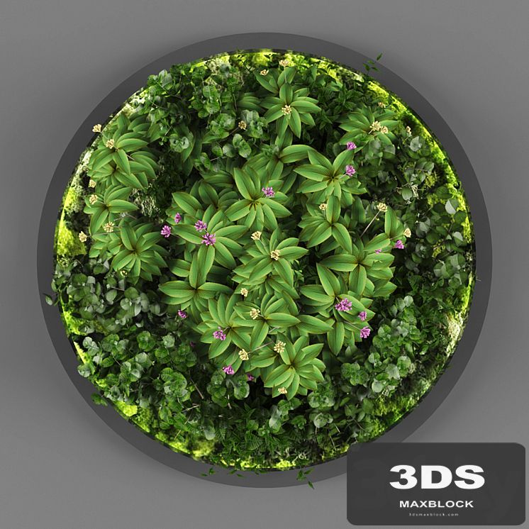 Vertical garden 113
