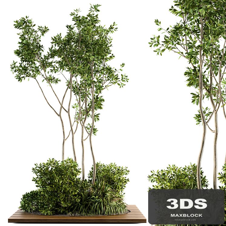Garden set bush and Tree - Garden Set 04