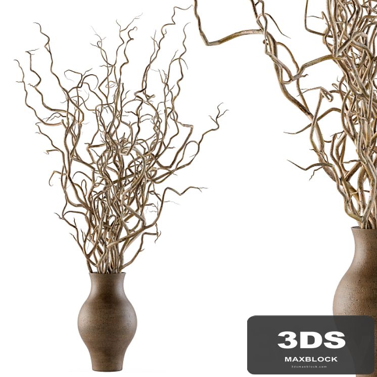 Bouquet Set 19 - Dried twisted branches