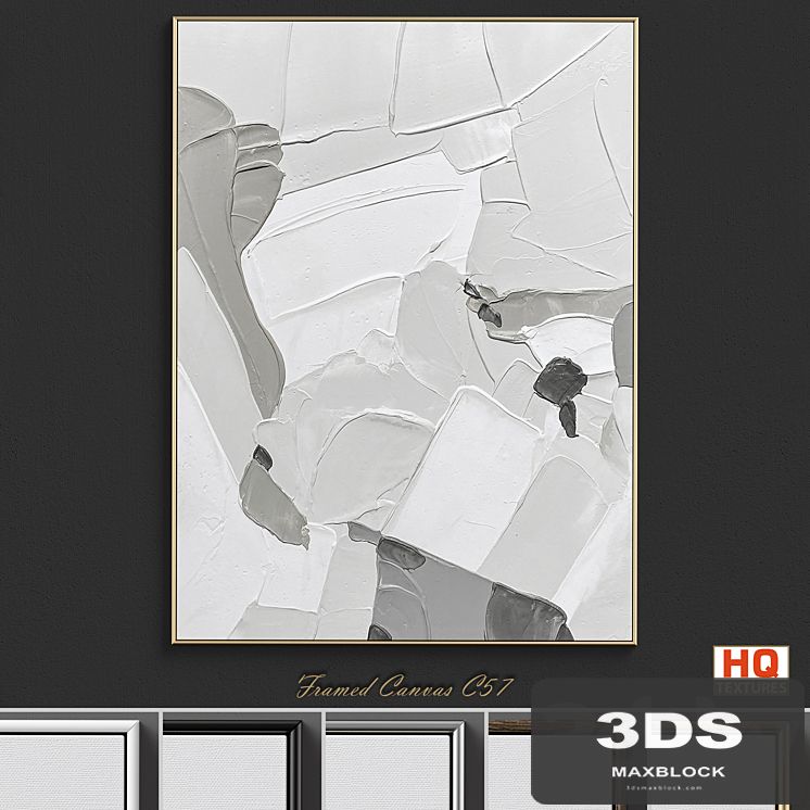 Framed Canvas C-57