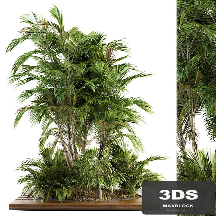 Garden set Tropical bush and Tree - Garden Set 05