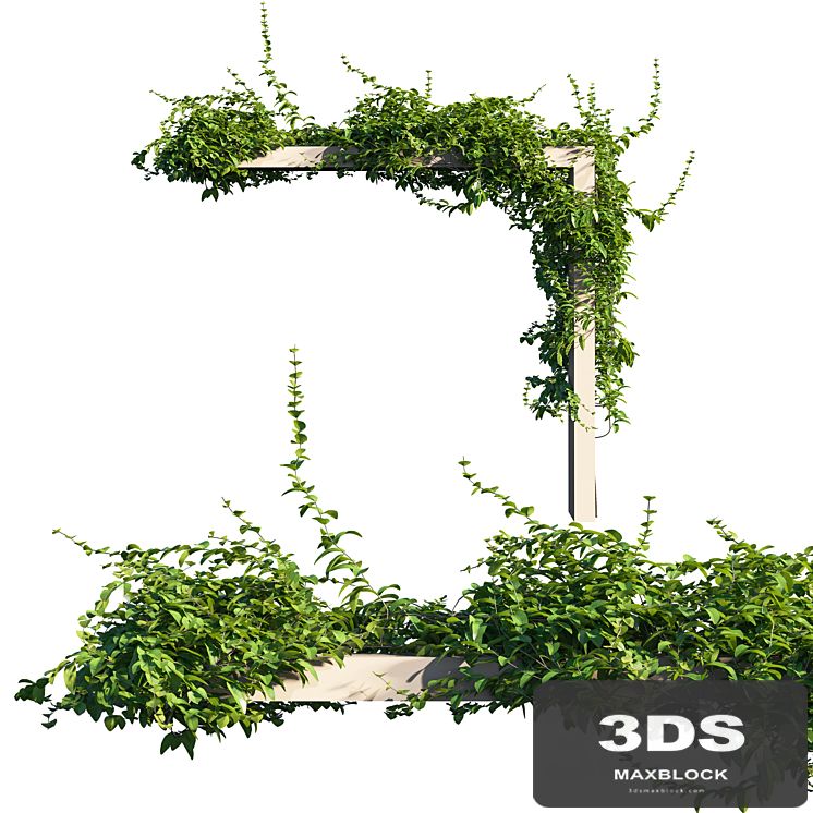 Vines on Wall 01