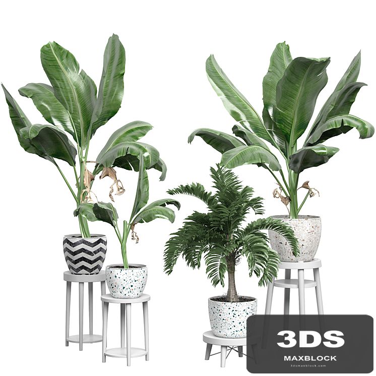 Flower Pack 124