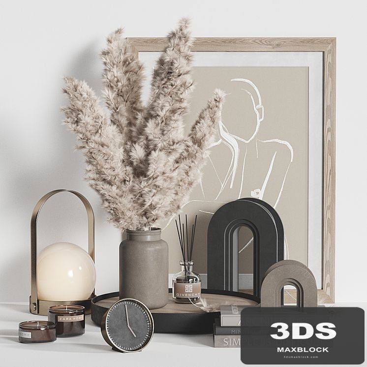 Decorative Set Dried Plant
