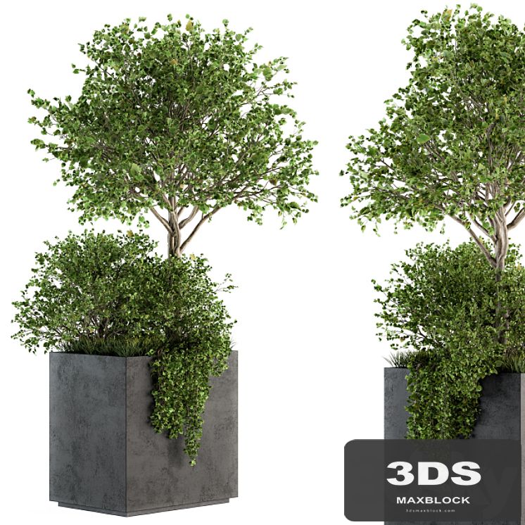 Outdoor Plants in Concrete Plant Box - Set 93