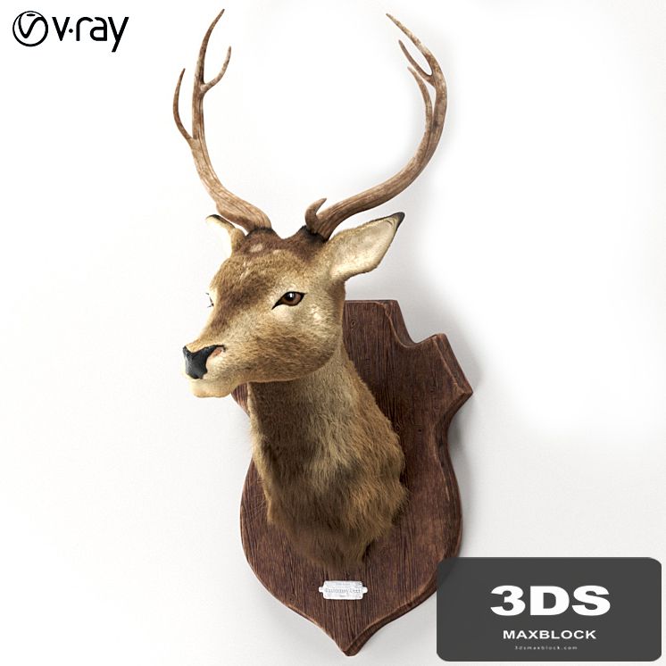 Deer