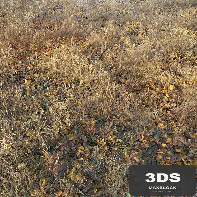 Dry autumn grass