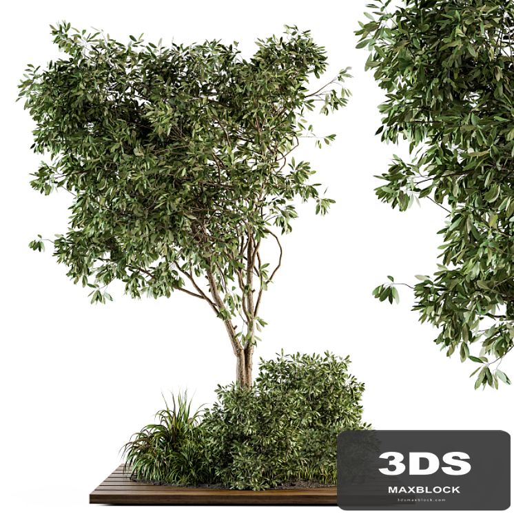 Garden set bush and Tree - Garden Set 05