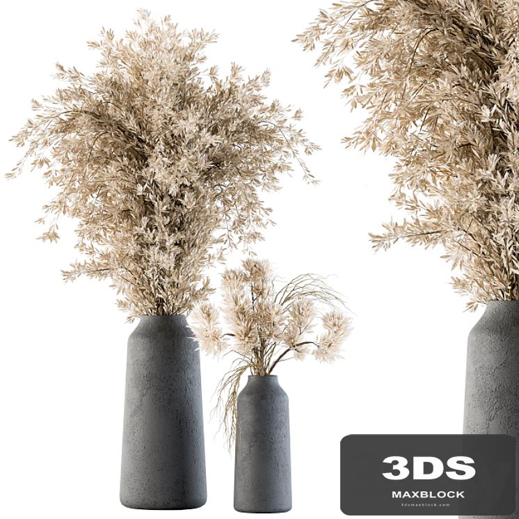 Dry plants 42 - Dried Plant Pampas