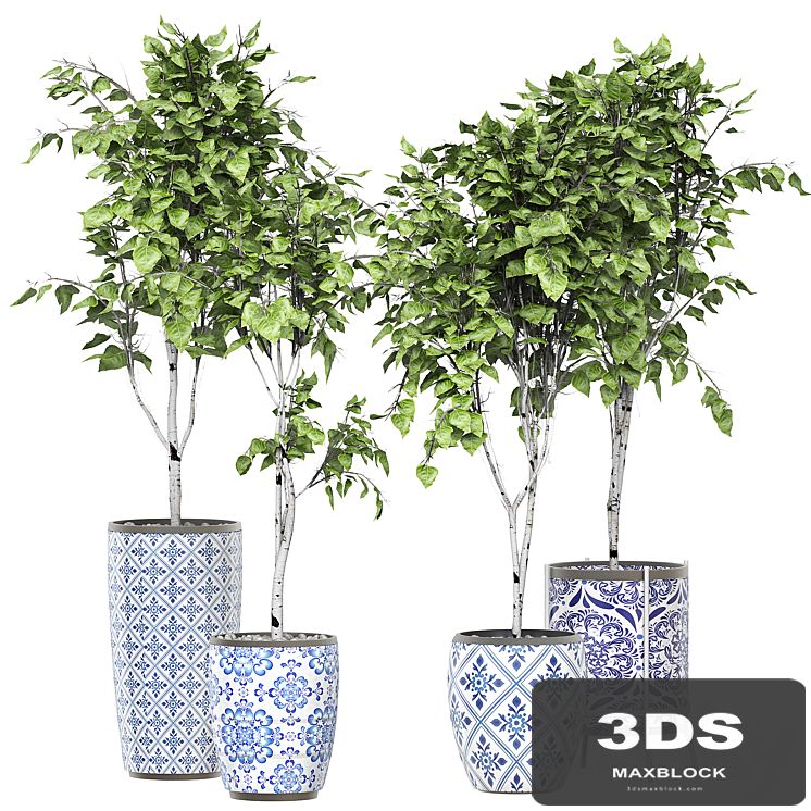 Flower Pack 147