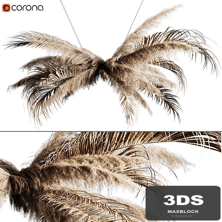 Pampas grass chandelier 02
