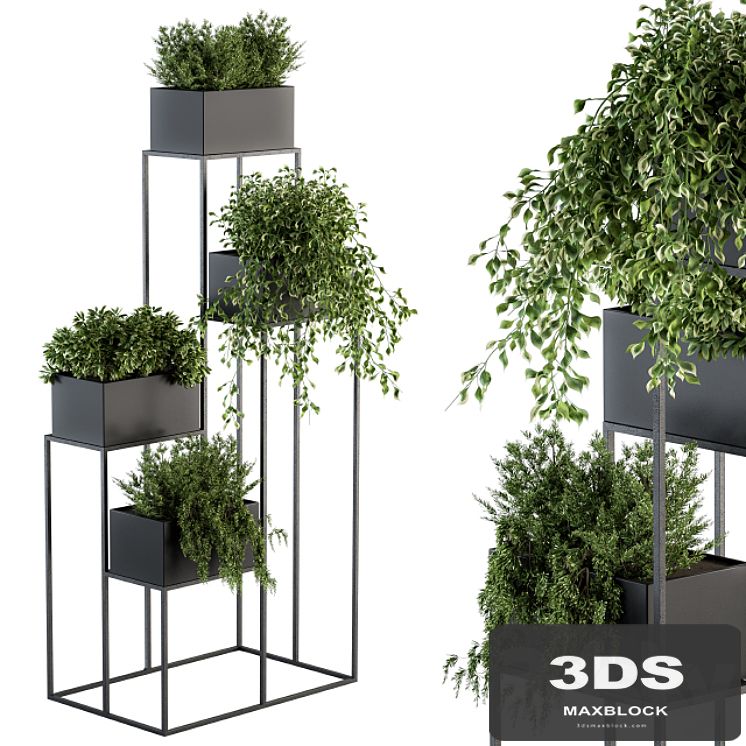 indoor Plant Set 100 - Black stand