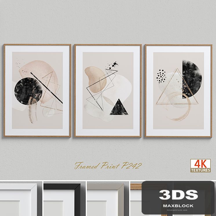 Framed Print P-242