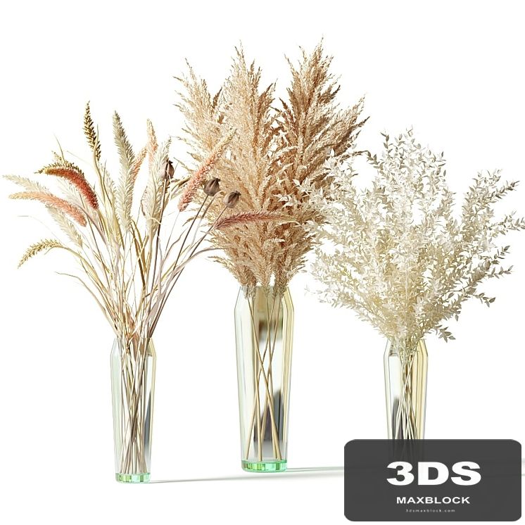 Bouquets of dried flowers in glass vases - set 1
