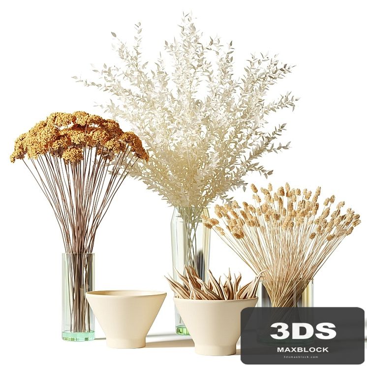 Bouquets of dried flowers in glass vases - set 2