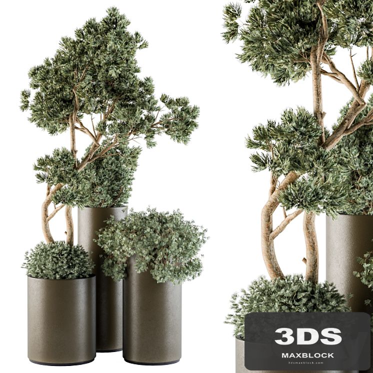 Outdoor Plants tree in Metal Pot - Set 102