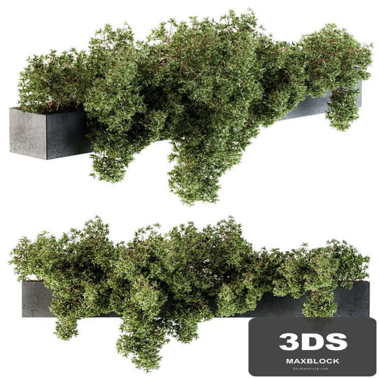 Outdoor Plant Set 103 - Hanging Plants
