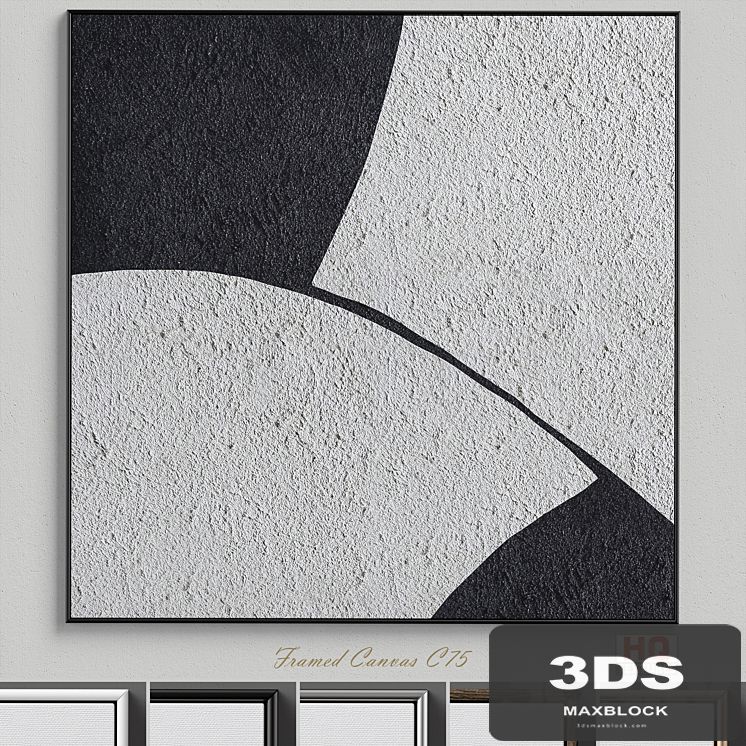 Framed Canvas C-75
