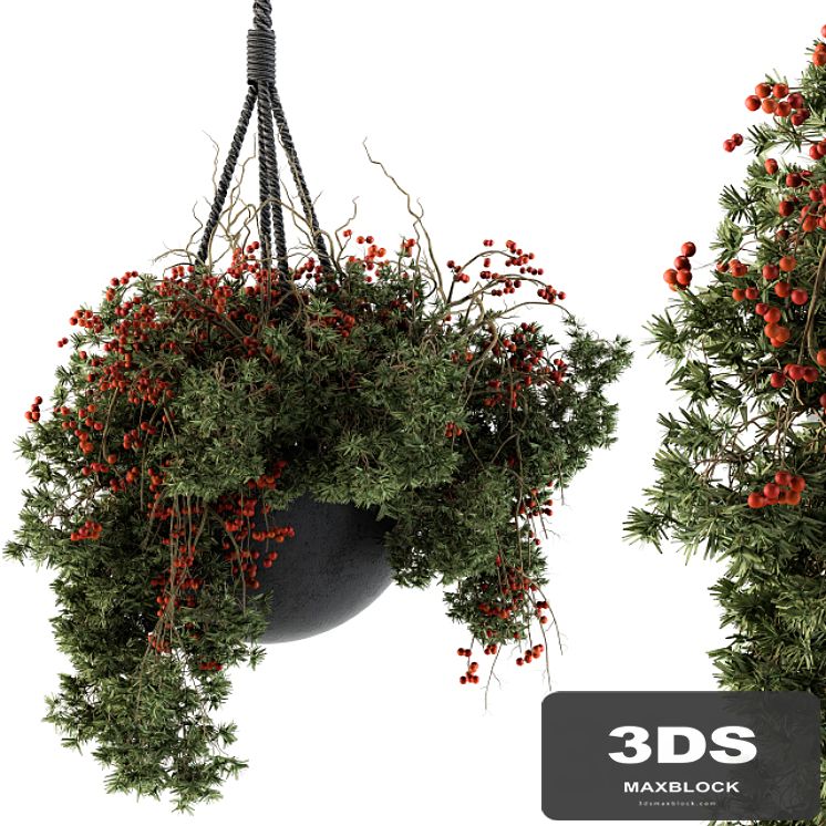 Hanging Pot plant - Set 102