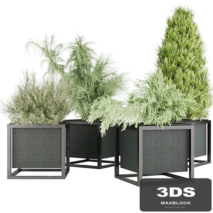 Collection plant vol 14