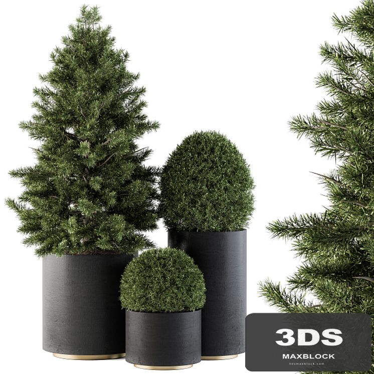 Outdoor Plants tree in Concrete Pot - Set 110