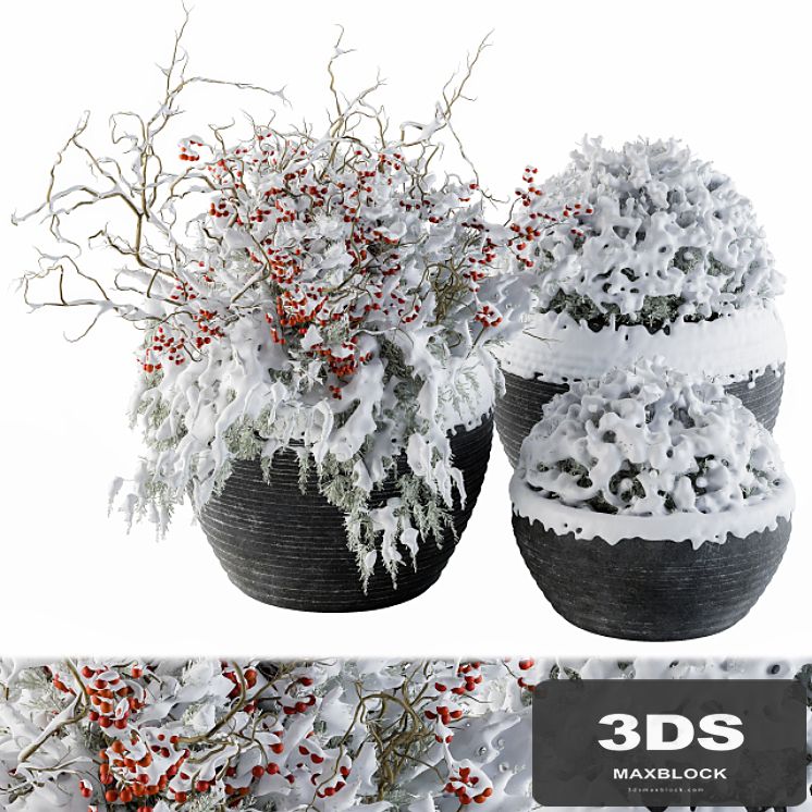 Outdoor Plants tree in Concrete Pot Snow - Set 107
