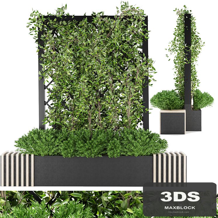 Collection plant vol 16