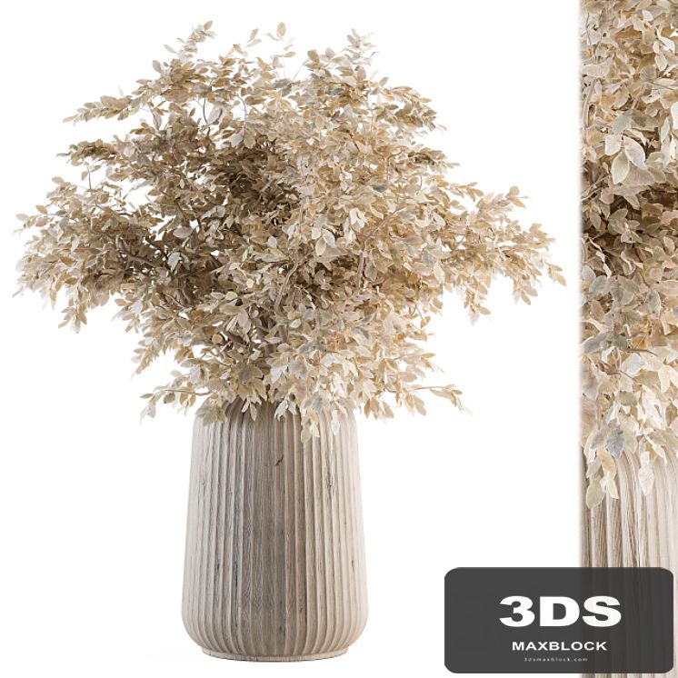Dry plants 46 - Dried Plant Bouquet