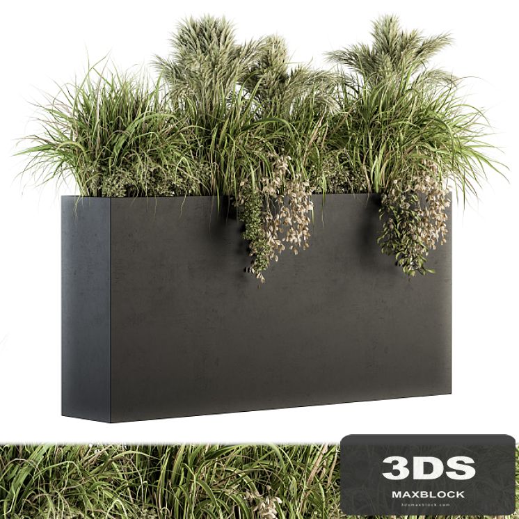 Outdoor Plants tree in Plant box - Set 124