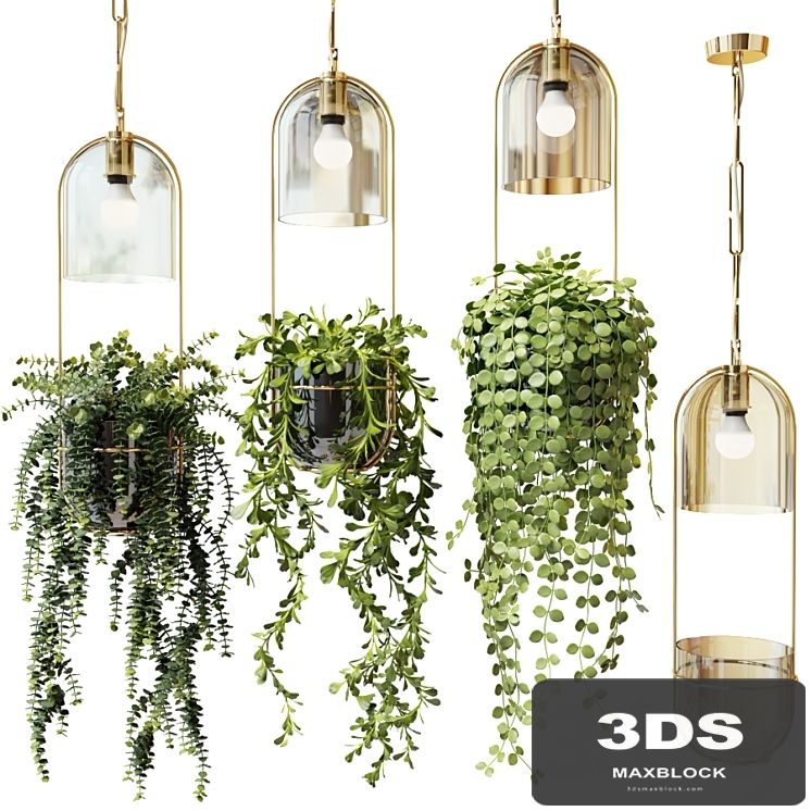 Ampel plants in hanging pots lamps - set 2