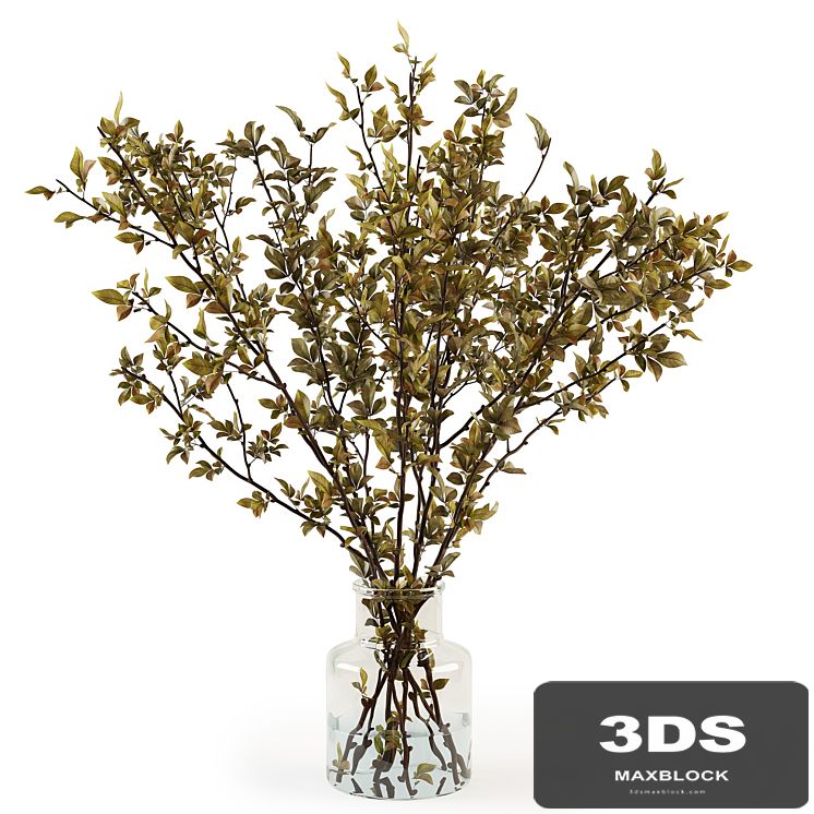 Branches in a vase 013