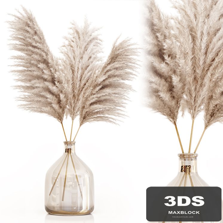 Pampas grass in glass vase 7