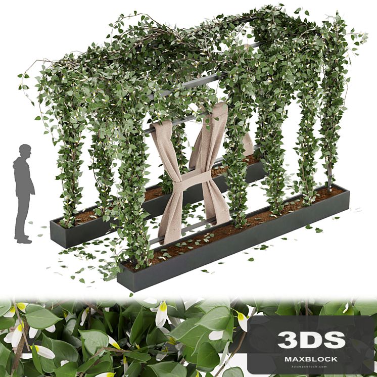 Collection plant vol 28