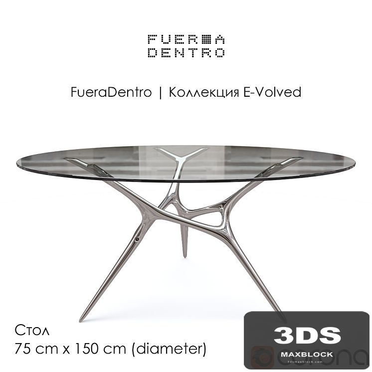 FueraDentro - E-VOLVED
