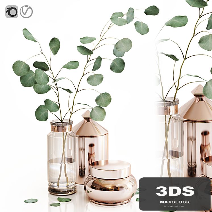 Eucalyptus 1