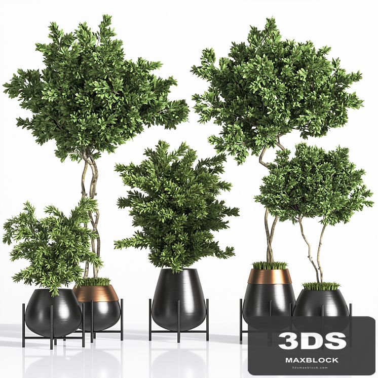 indoor plant set 01