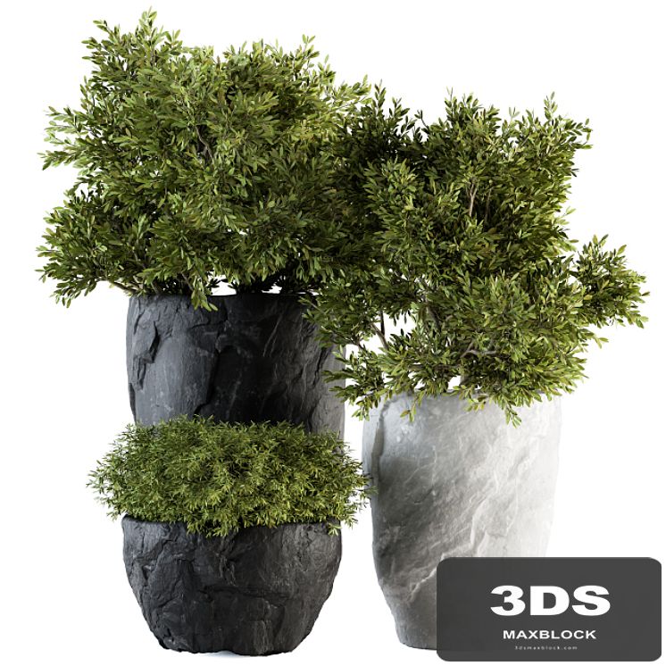 Outdoor Plants tree in Rock Pot - Set 136