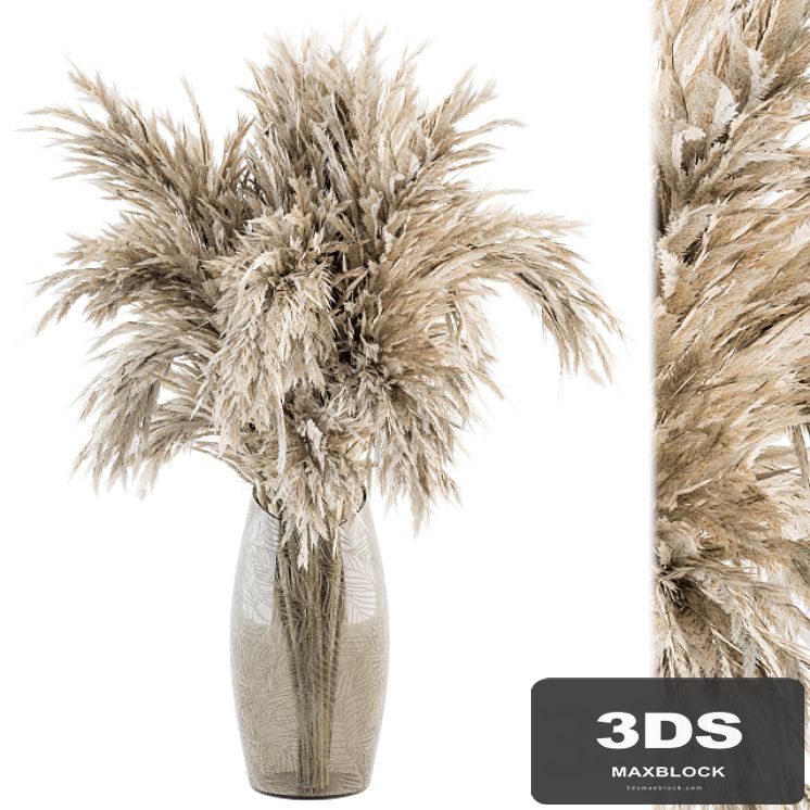 Dry plants 47 - Dried Plant Pampas Bouquet